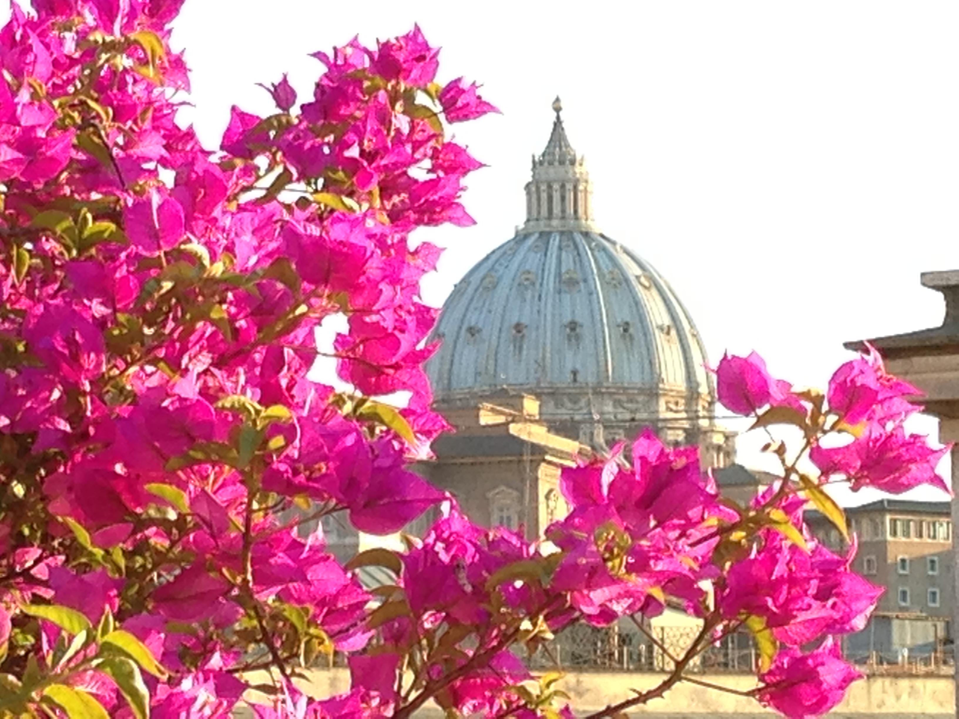 Hotel Dei Consoli Vaticano Řím Exteriér fotografie